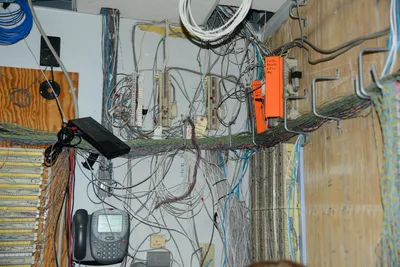 DSC_1331 (Large).JPG